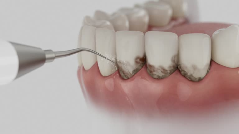 Reliable Dental contractor in Charlton County County, GA by Dentist Open Now